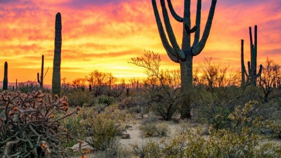 When to Use an Arizona Conditional Waiver and Release on Final Payment